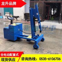 吉林液壓小吊機(jī)多少錢,450kg龍升液壓小吊機(jī)全電動(dòng)型