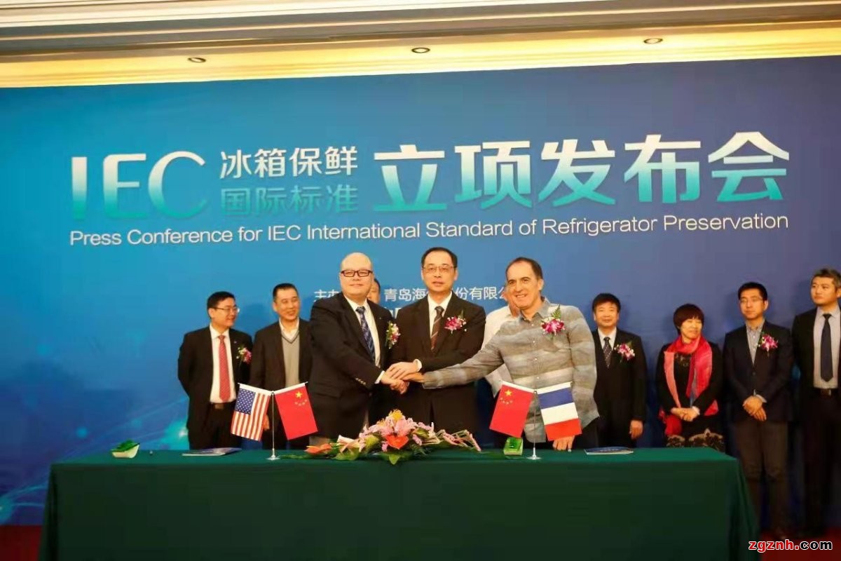 揚(yáng)起國際標(biāo)準(zhǔn)的“帆”，中國企業(yè)出海乘風(fēng)破浪