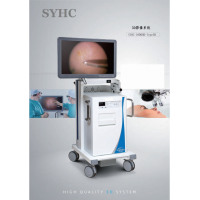 3D影像系統(tǒng)工作站SYHC-1000CHD